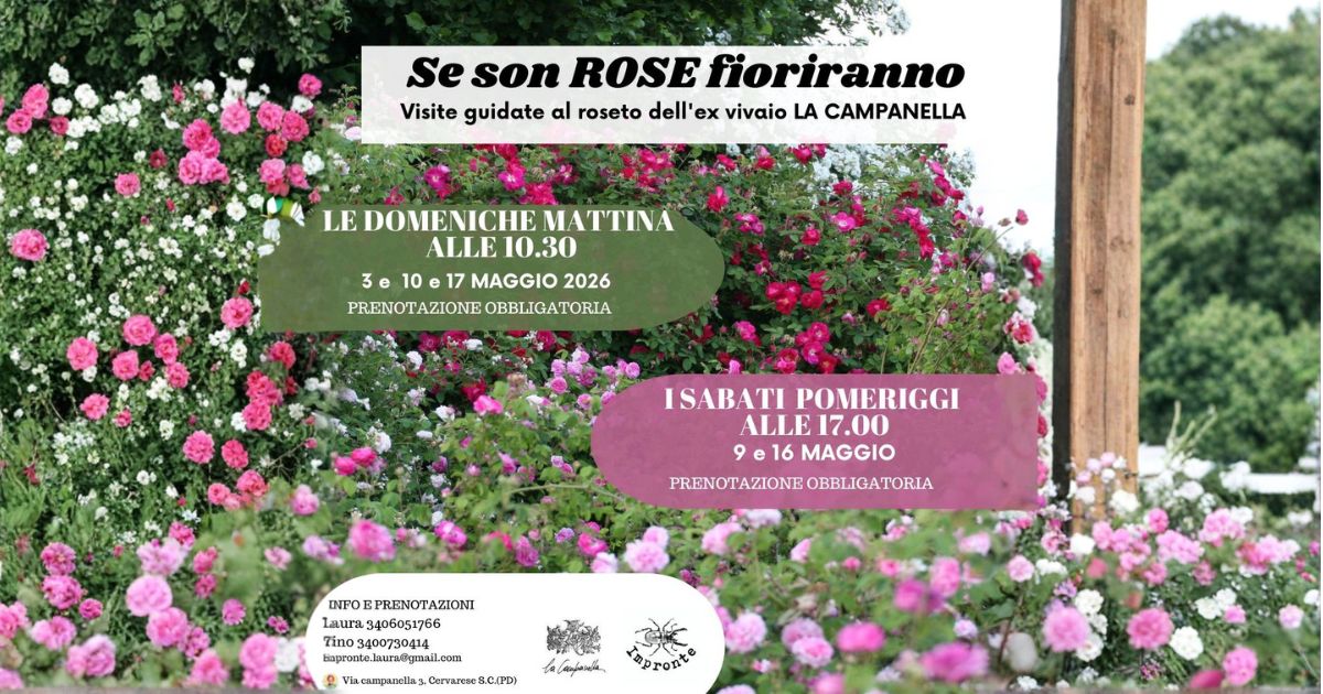 La Rosa Canina e il Fascino delle Rose Botaniche: Un Viaggio nel Tempo presso l’Ex Roseto “La Campanella”